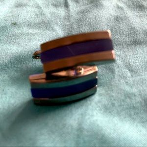 Stainless Steel With Blue Stripe Cufflinks (EUC)